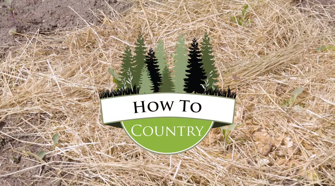 How To Country