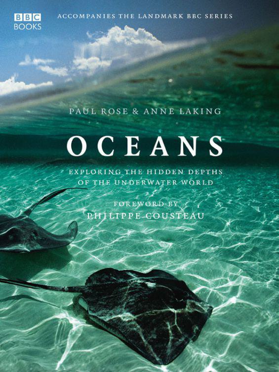 Ocean life, also known as marine life or sea life, encompasses all the diverse plant and animal communities that live in the ocean.