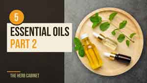 What Essential Oils Are Good For