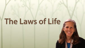 The Laws of Life