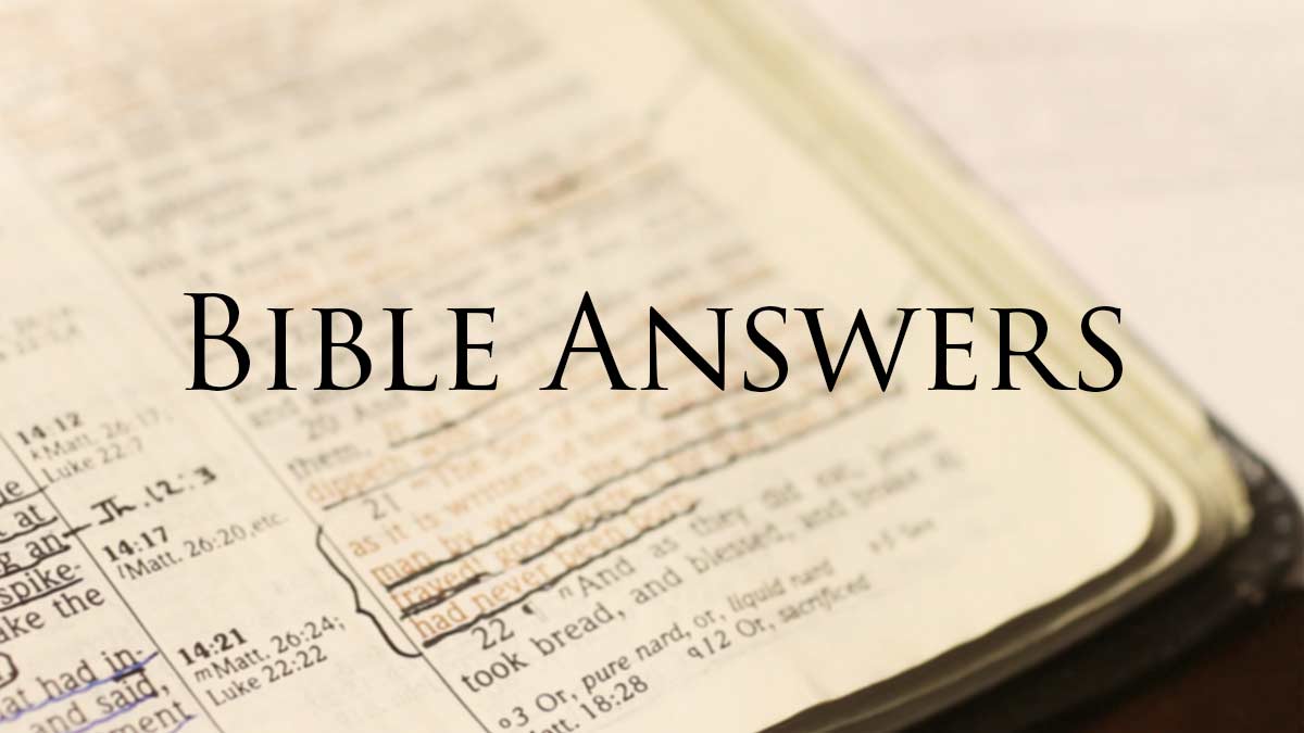 Bible Study Questions Answered