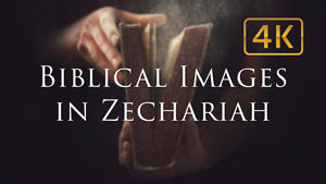 The Meaning of Biblical Images in Zechariah