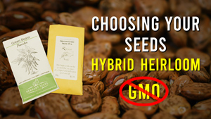 Choosing the Right Seeds: GMO, Heirloom, Hybrid?