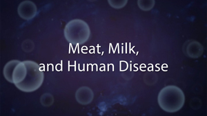 Why You Shouldn't eat Meat or Dairy