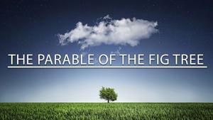 The Parable Of The Fig Tree
