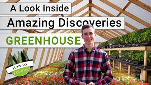 A Look Inside Amazing Discoveries Greenhouse