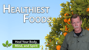 What Are the Healthiest Foods for Humans?