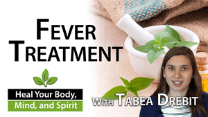 When and How to Break a Fever - Tabea Drebit