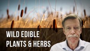 Wild Edible Plants and Herbs