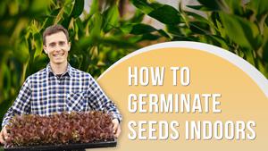 How to Germinate Seeds Indoors - Timon Spuller