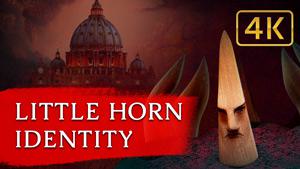 Identity of the Little Horn Power