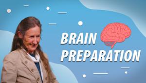 Brain Preparation