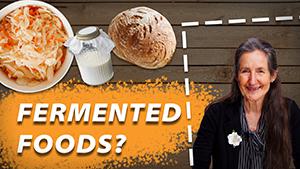 Are Fermented or Cultured Foods Good for Us?