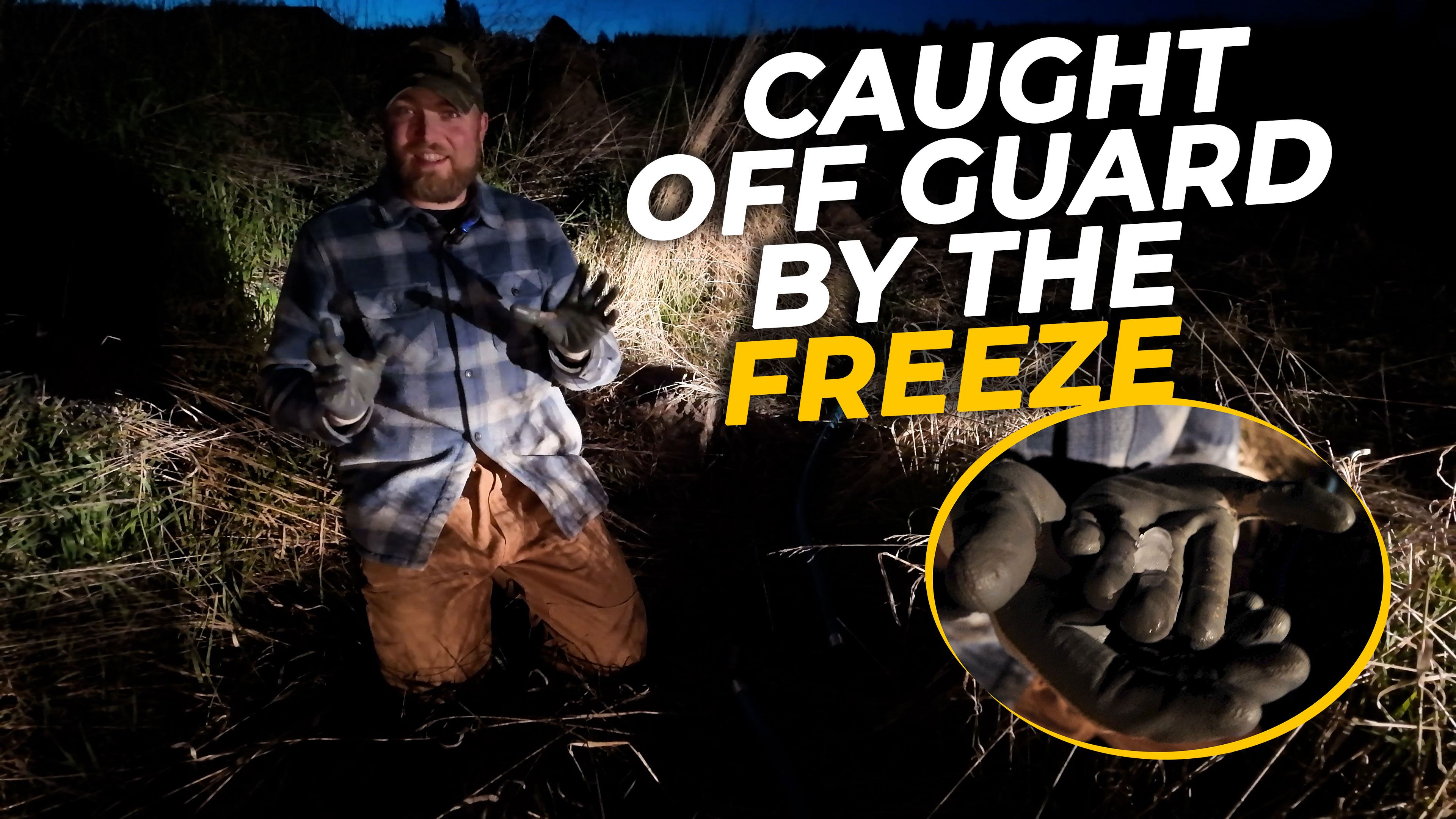 Avoiding the Next Freeze—What You Need to Know!
