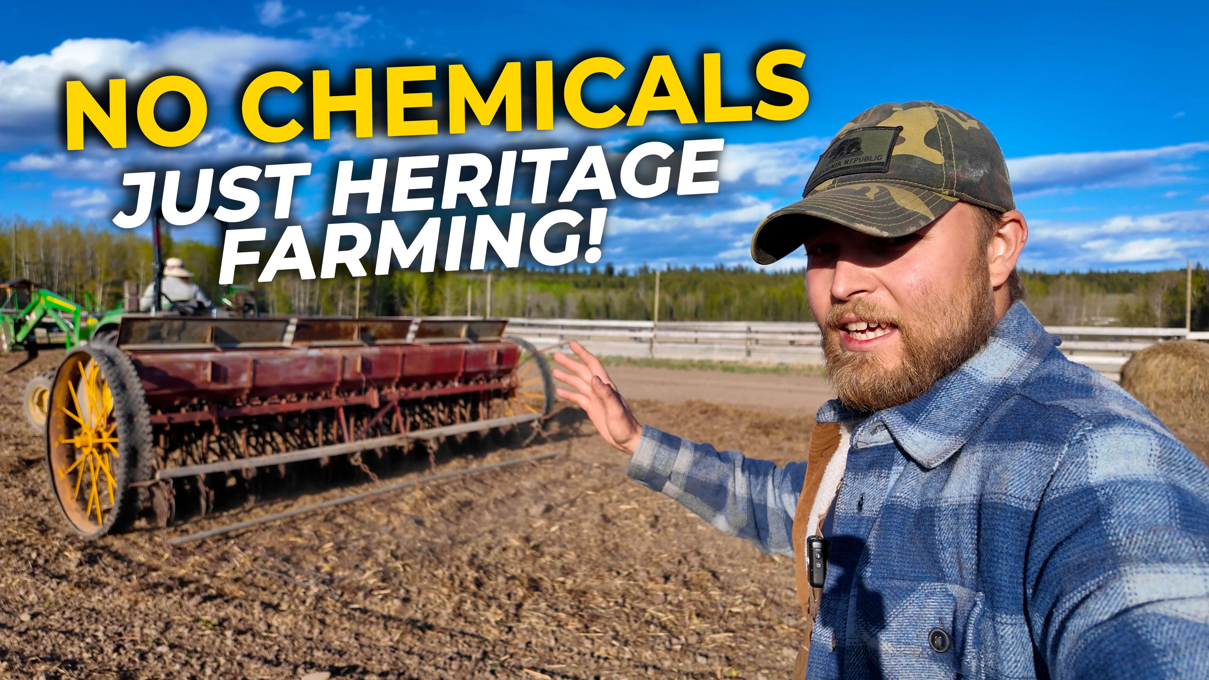 Reviving Heritage Farming— No Chemicals Needed!