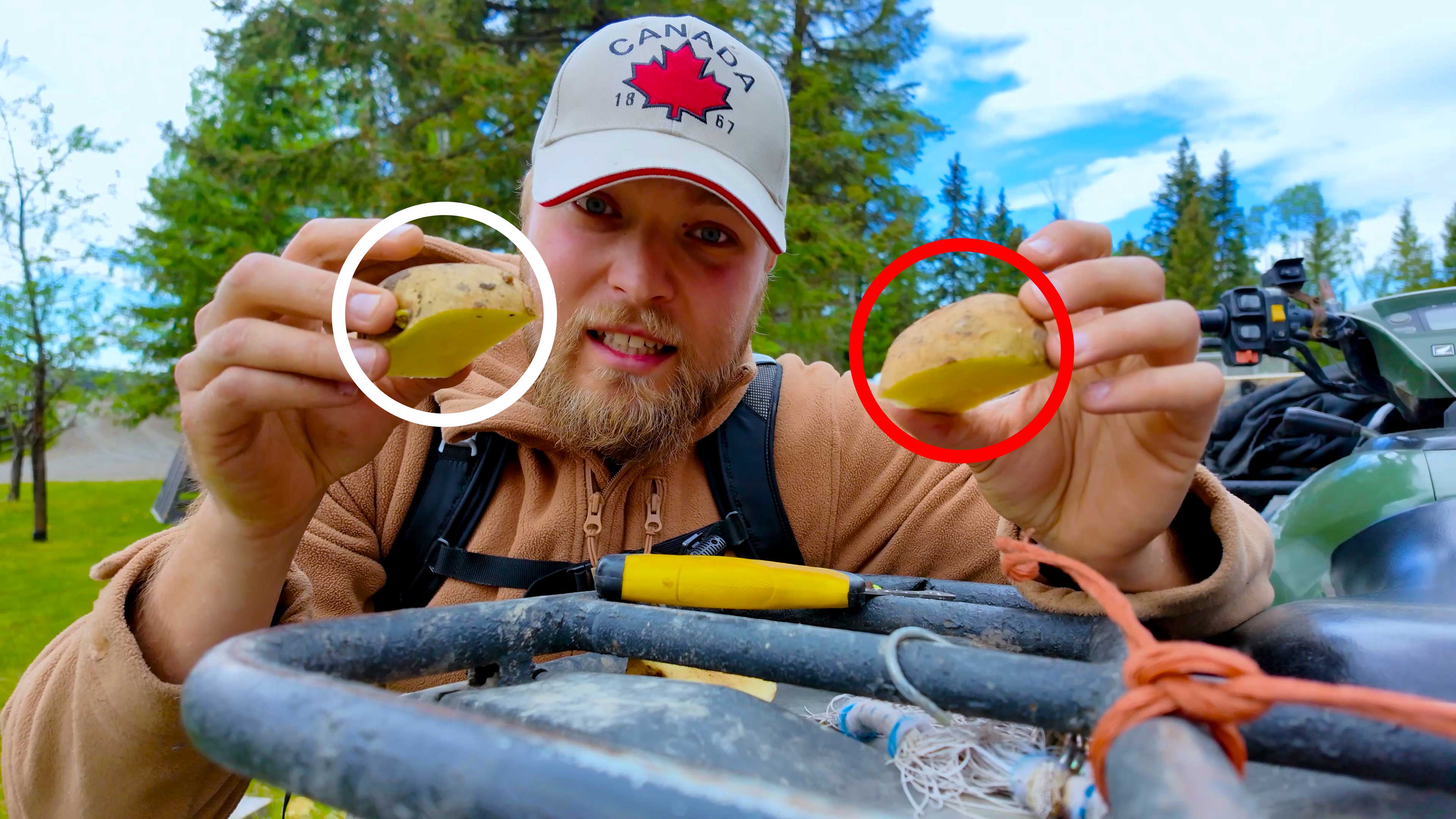 The Most Genius Potato Hack You’ve Never Seen