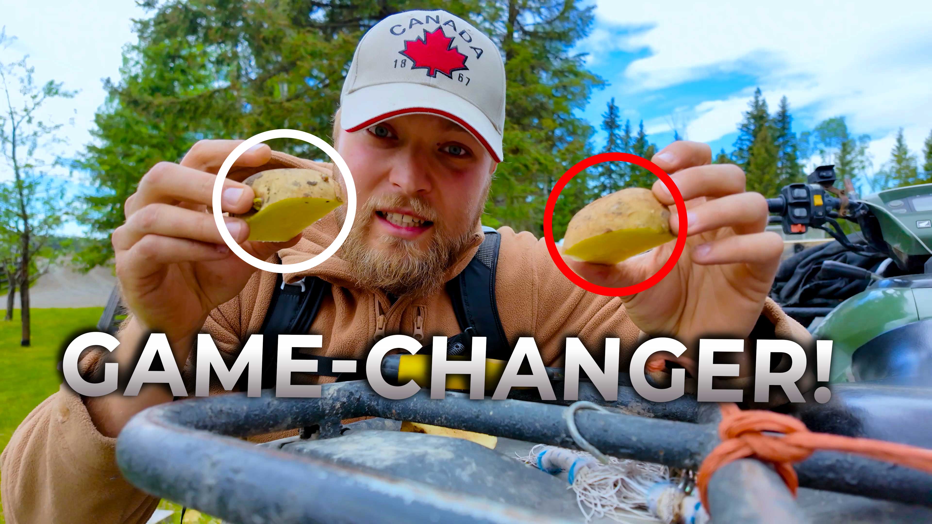 The Most Genius Potato Hack You’ve Never Seen