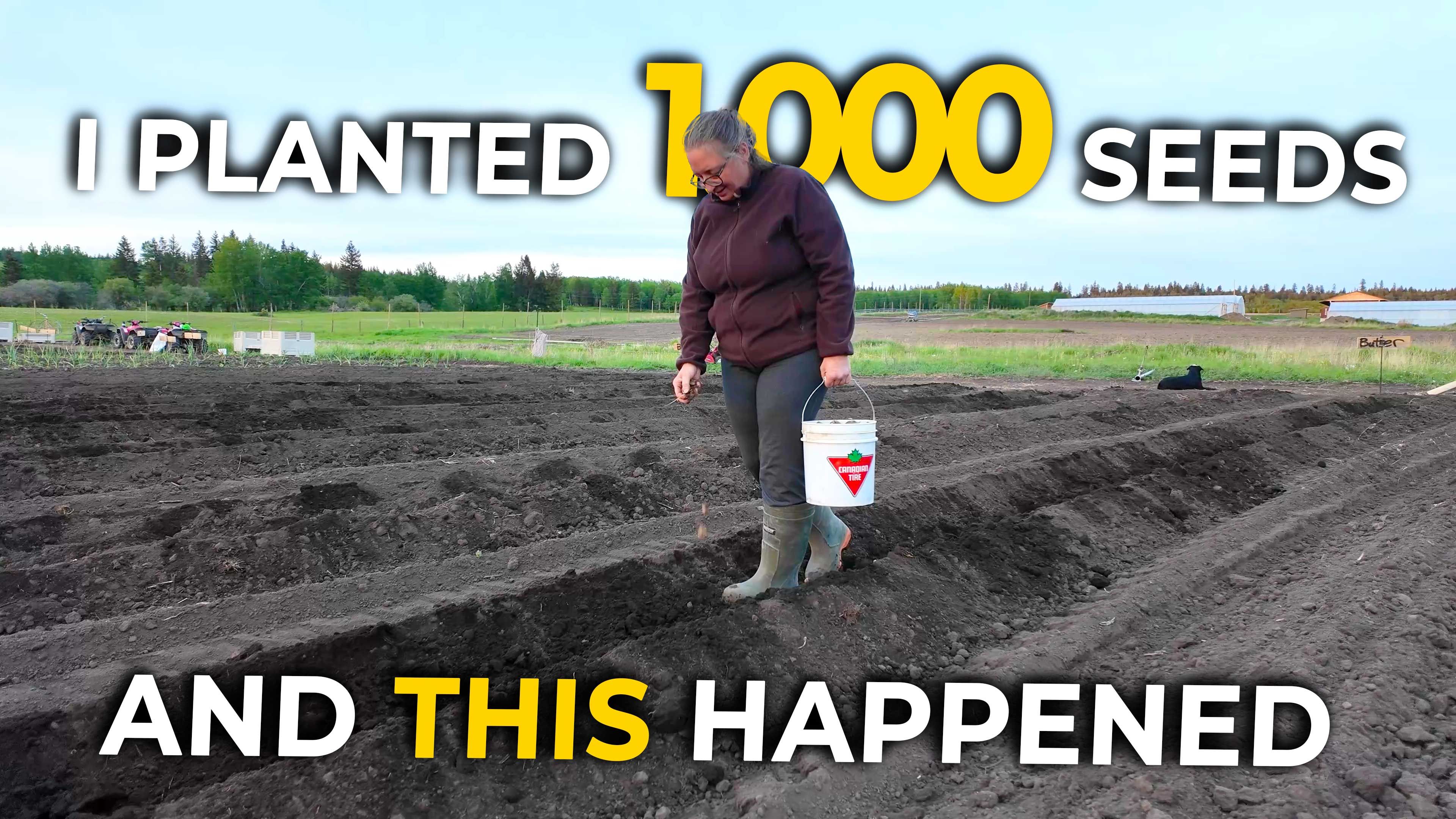 We’re Growing Food for Survival – And You Should Too