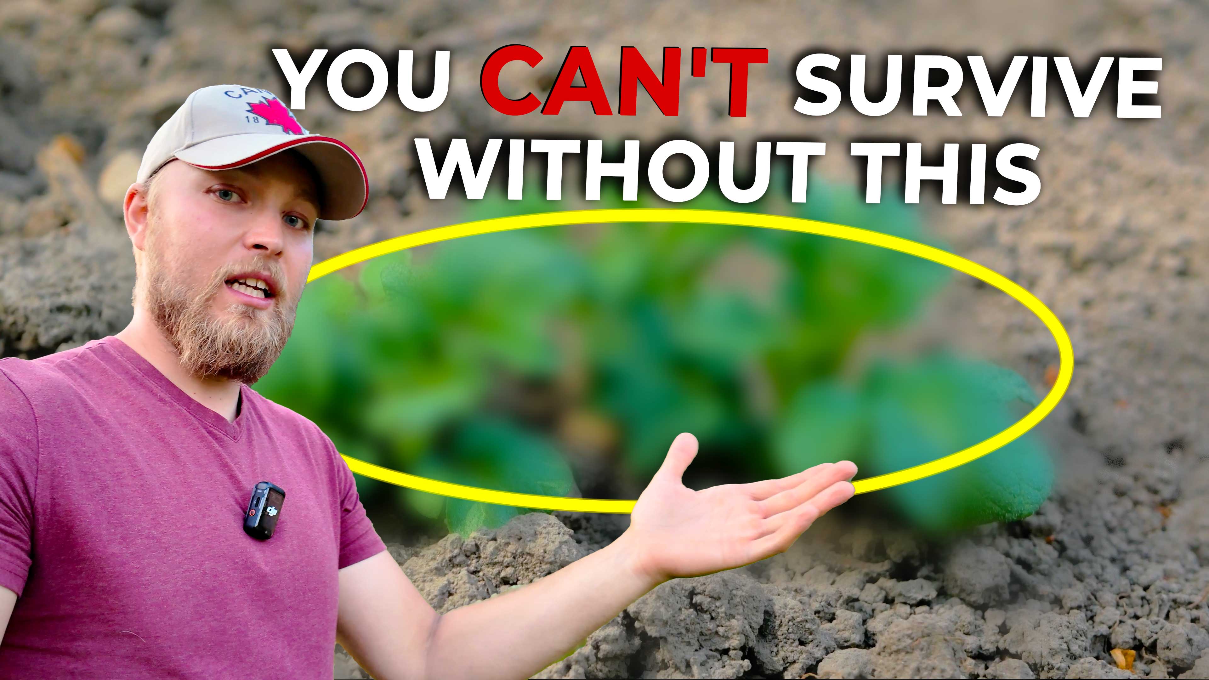 You Won’t Survive What’s Coming Without THIS…